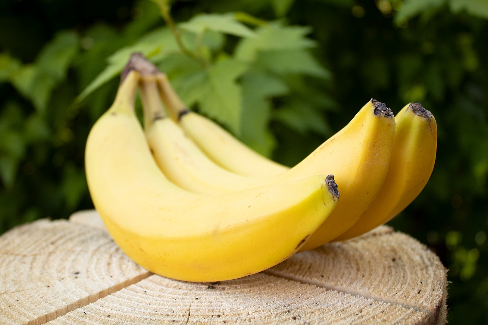 868-image - Bananen 868-image - Bananen