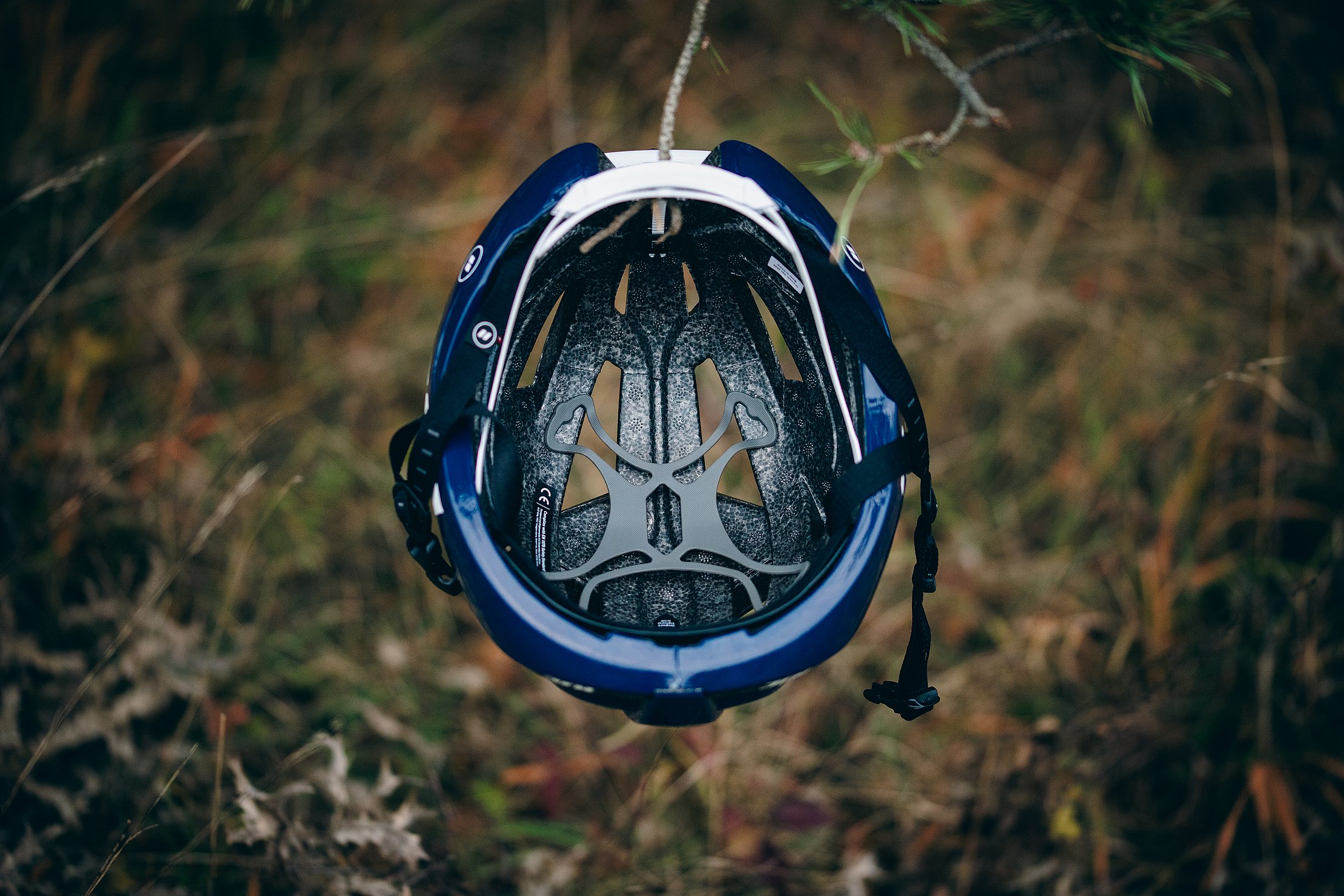 1923-image -  1923-image -