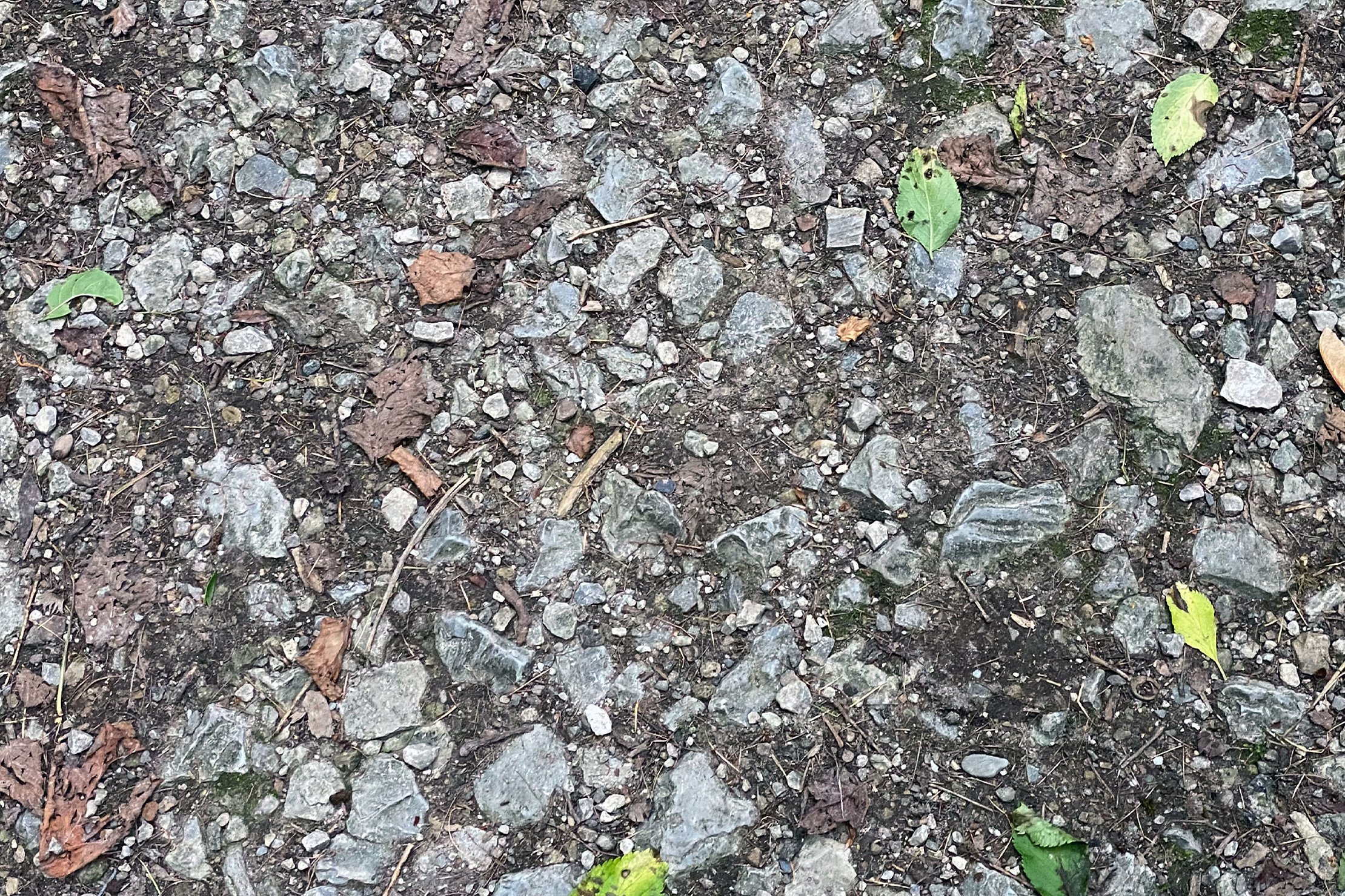 1642-image - Untergrund: Große kantige Steine