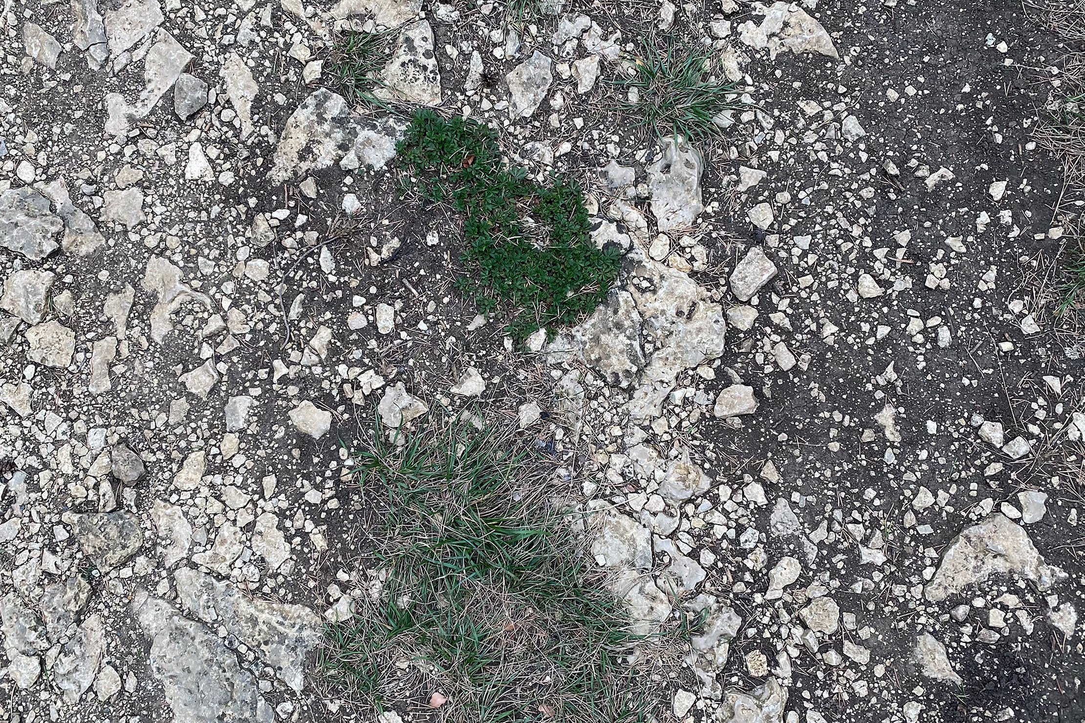 1641-image - Untergrund: Kleine und große Steine