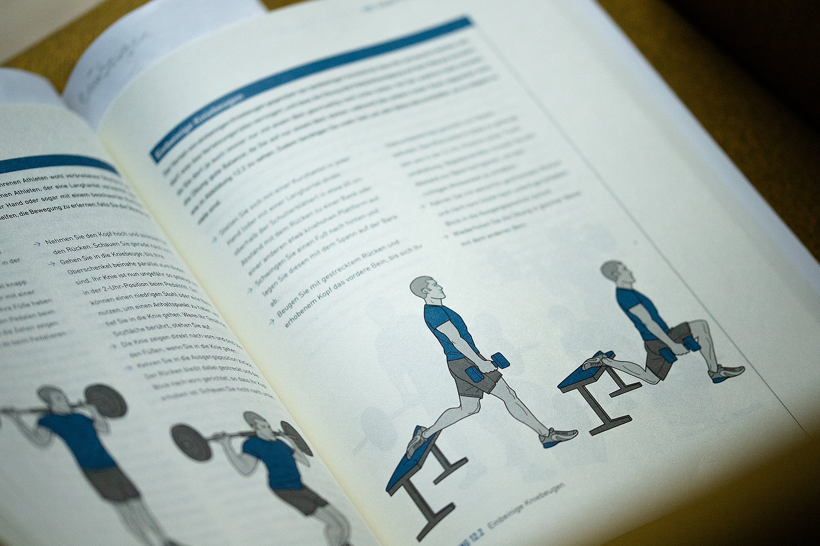 1550-image -  1550-image -